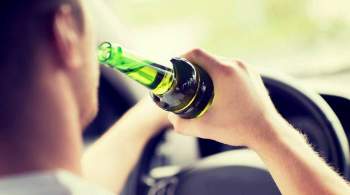 Пьяных водителей хотят ограничить в возможности иметь лицензию на оружие