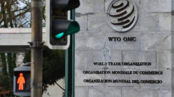 Евросоюз запросил в ВТО консультации с Россией по ограничениям на поставки 
