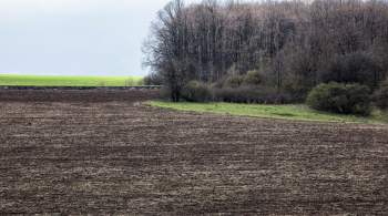 В Варшаве заявили, что сельское хозяйство Украины коррумпировано  до дна  