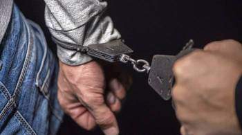 В Омске за истязание ребенка арестовали мужчину по фамилии Живодер