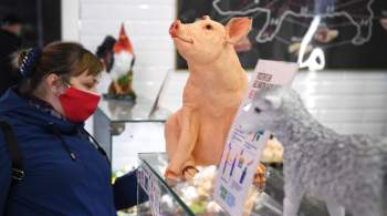 Власти Приморья рассказали о росте производства свинины в регионе