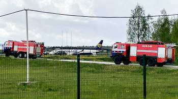 Литовская полиция раскрыла детали инцидента с самолетом в Минске