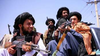СМИ: в Пентагоне заявили о  крови американцев  на руках властей  Талибана 