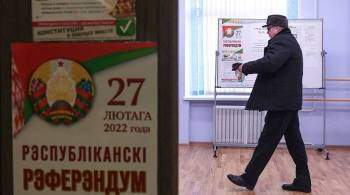 Член ЦИК России: голосование на референдуме в Белоруссии прошло спокойно