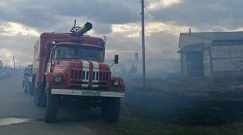 Мэра омского города Называевск задержали по делу о масштабных пожарах
