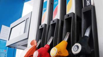 Выпуск бензина в России в августе вырос на 1,6 процента 