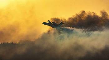 Выросло число погибших при пожарах в лесах на юге Турции