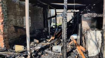 В Нижегородской области бабушка и внук погибли при пожаре в частном доме