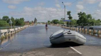 Дамбы в двух селах в Приамурье не справились с паводком