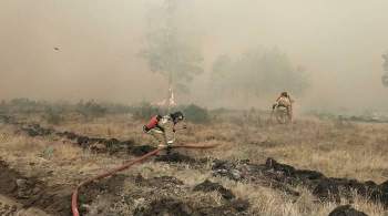 В Челябинской области возбудили три уголовных дела из-за лесных пожаров