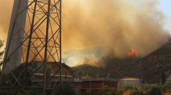 В Турции загорелась тепловая электростанция из-за лесного пожара