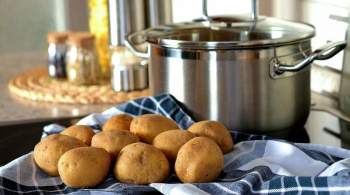 Украина стала крупнейшим экспортером картофеля в Белоруссию