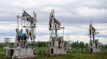 Минприроды: запасы нефти в России за десять лет сократились на треть