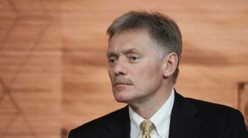 Песков отказался давать оценки задержаниям по статье о дискредитации ВС
