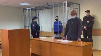 Прокурор попросил дать реальный срок сбившей детей на переходе москвичке