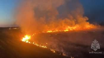 Пожароопасный сезон уже охватил 58 регионов России