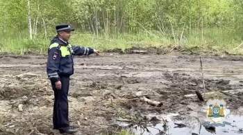 В Югре полицейские спасли детей, увязших в болоте