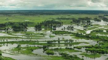 В МЧС сообщили, когда наступит гребень паводка в Приамурье