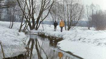 Метеоролог пообещал москвичам раннюю весну