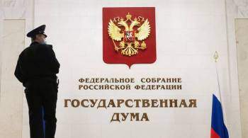 В Госдуме прокомментировали ситуацию с увольнением учительницы в Петербурге