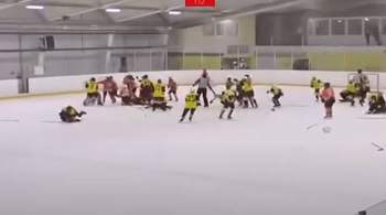 В Саратове детский хоккейный матч остановили из-за массовой драки