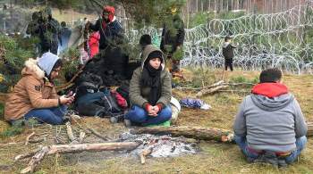 В Кремле прокомментировали ситуацию с мигрантами на границе Белоруссии