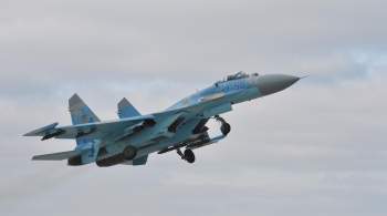 В Киеве хотят обновить военный авиапарк за счет современных истребителей