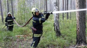 Крупный пожар в Оренбуржье тушат более 200 человек