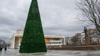 В Симферополе установили главную новогоднюю елку Крыма