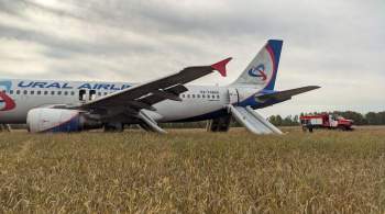 Почти все пассажиры севшего в поле самолета уехали в Омск или Новосибирск 