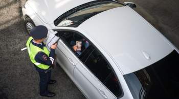 Источник: москвичке выписали протокол за перекрашенный флаг на номере авто