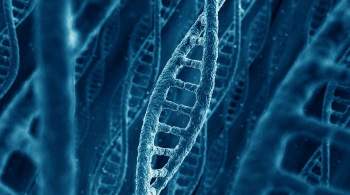 Человечество сможет чинить  поломанные  гены, заявила эксперт