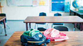 В Краснодаре проверят сообщения об угрозах педагога  набить морду  ученице