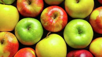 Диетолог рассказала об опасности чрезмерного потребления яблок