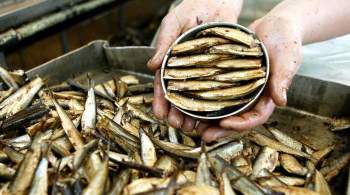 Ямал завалит Казахстан рыбными консервами