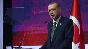Эрдоган заявил, что никто не должен извлекать выгоду из событий в России