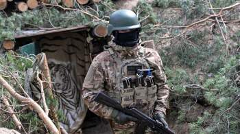 Командир  Ахмата  заявил об успешной работе сил спецназа в Марьинке