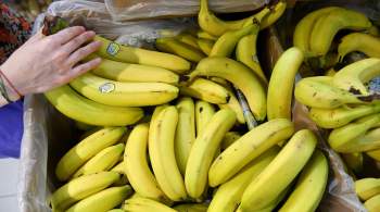 Эквадорские поставщики бананов не смогут заместить российский рынок 