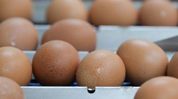 Россия почти не импортирует яйца из дальнего зарубежья 