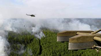 К тушению лесных пожаров привлекли авиацию Росгвардии