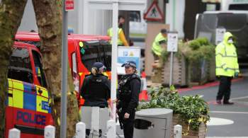 В ходе пропалестинских протестов в Лондоне пострадали девять полицейских 