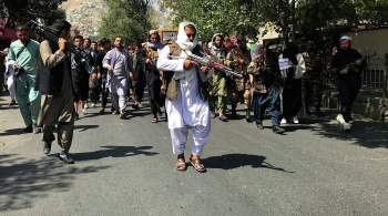 Талибы опровергли данные о дате инаугурации правительства Афганистана