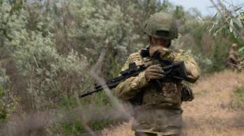 Силы ДНР и ВС России за сутки уничтожили 35 украинских военнослужащих