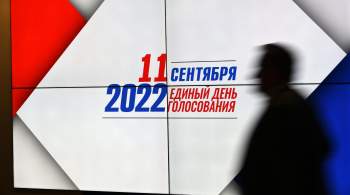В Подмосковье явка на муниципальных выборах составила 10,03 процента