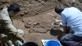  Отрубили ногу . Находка археологов изменила взгляд на историю медицины