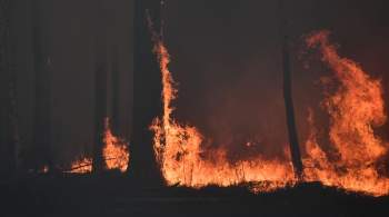 В России за сутки потушили 114 природных пожаров