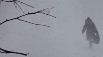 Жителей центра Сахалина предупредили о сильных снегопадах 