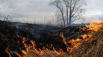 В Каменском районе Ростовской области площадь пожара достигла 50 гектаров