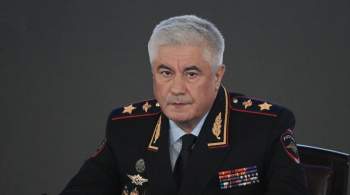 Глава МВД рассказал о массированных вбросах о ВС России в рунете
