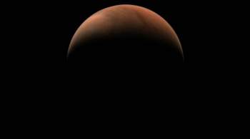 Ученый из НАСА поспорил с Илоном Маском из-за полета на Марс